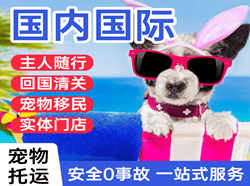 信阳明港航空快运国际宠物托运 【国